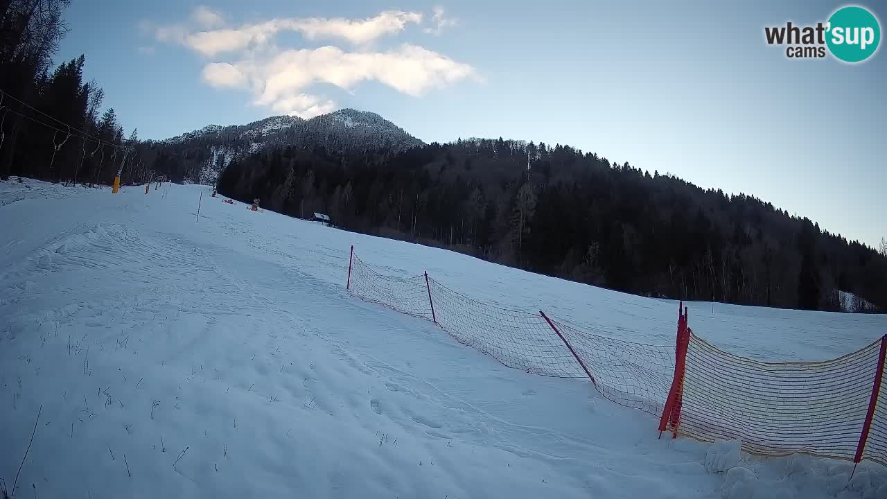 Kranjska Gora Station de ski | Brsnina