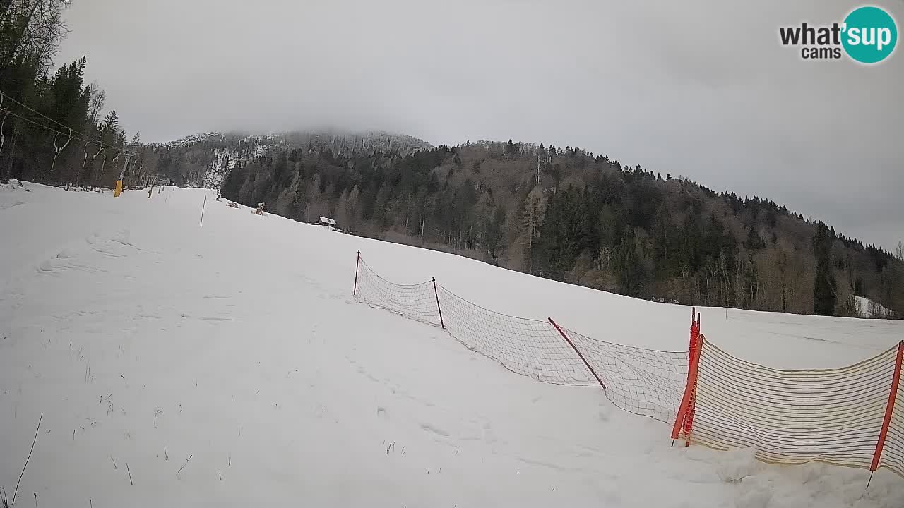RTC Kranjska Gora | Brsnina