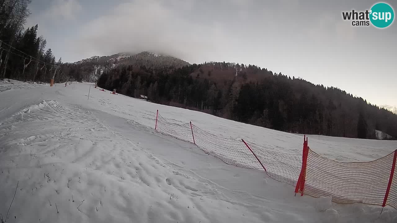 Ski Kranjska Gora | Brsnina