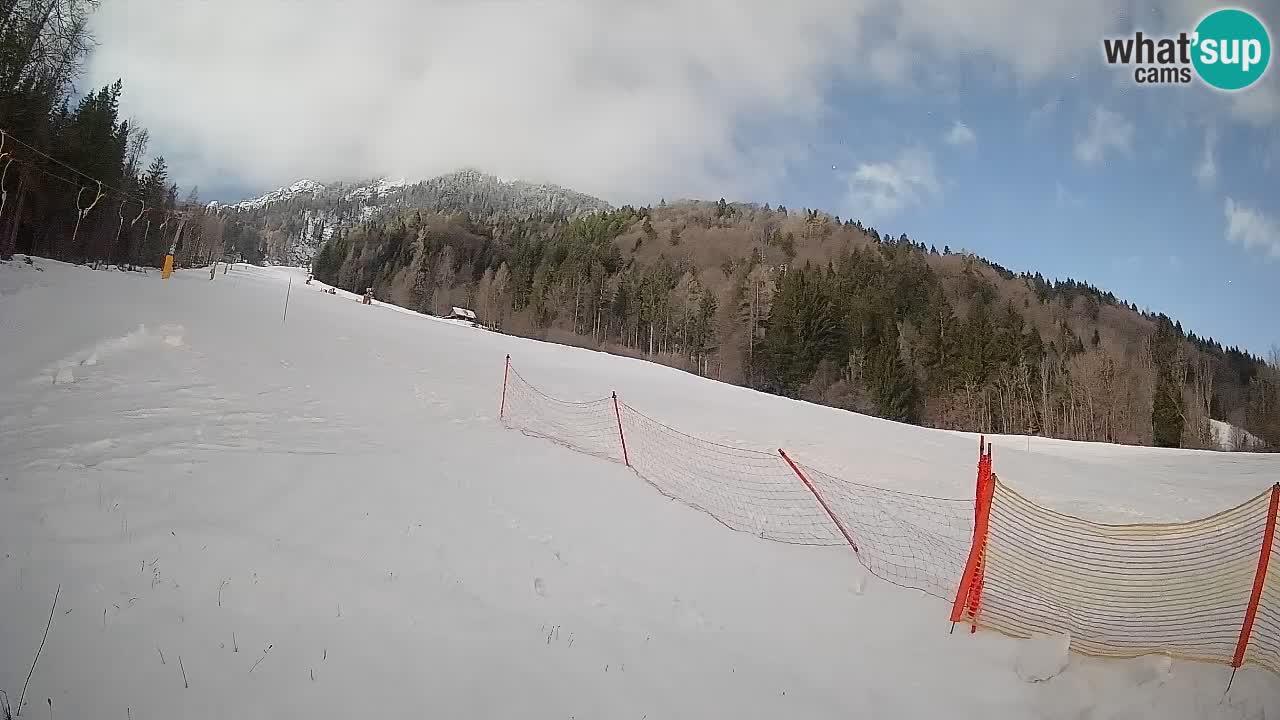 Ski Kranjska Gora | Brsnina