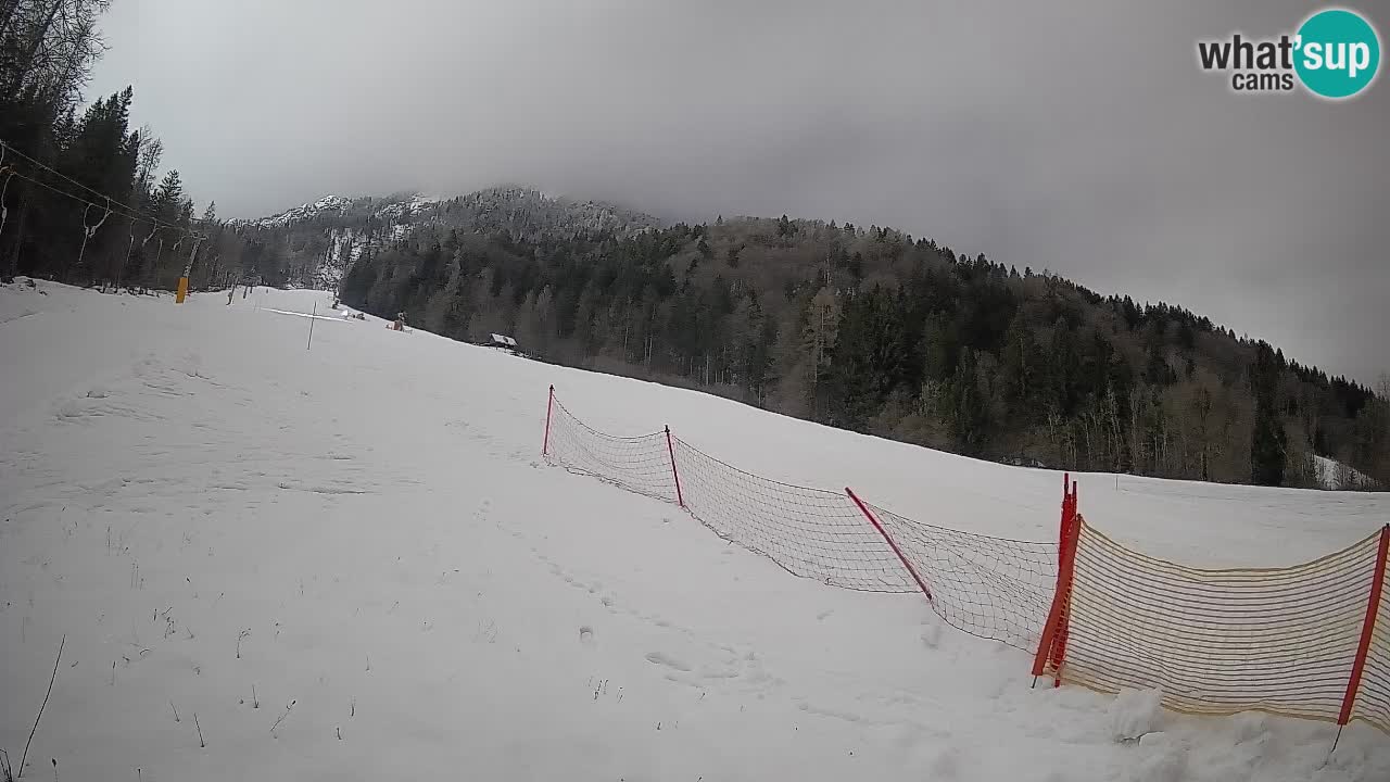 RTC Kranjska Gora | Brsnina