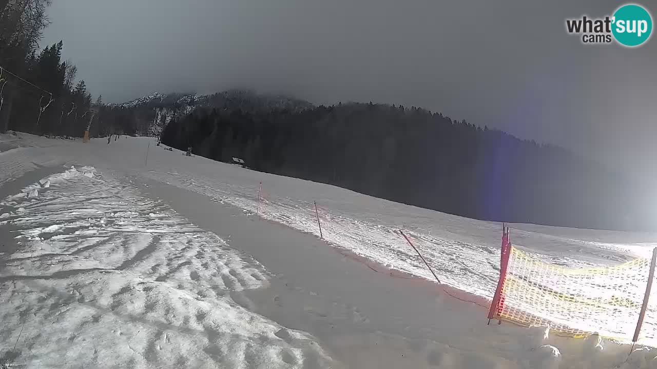 Ski Kranjska Gora | Brsnina