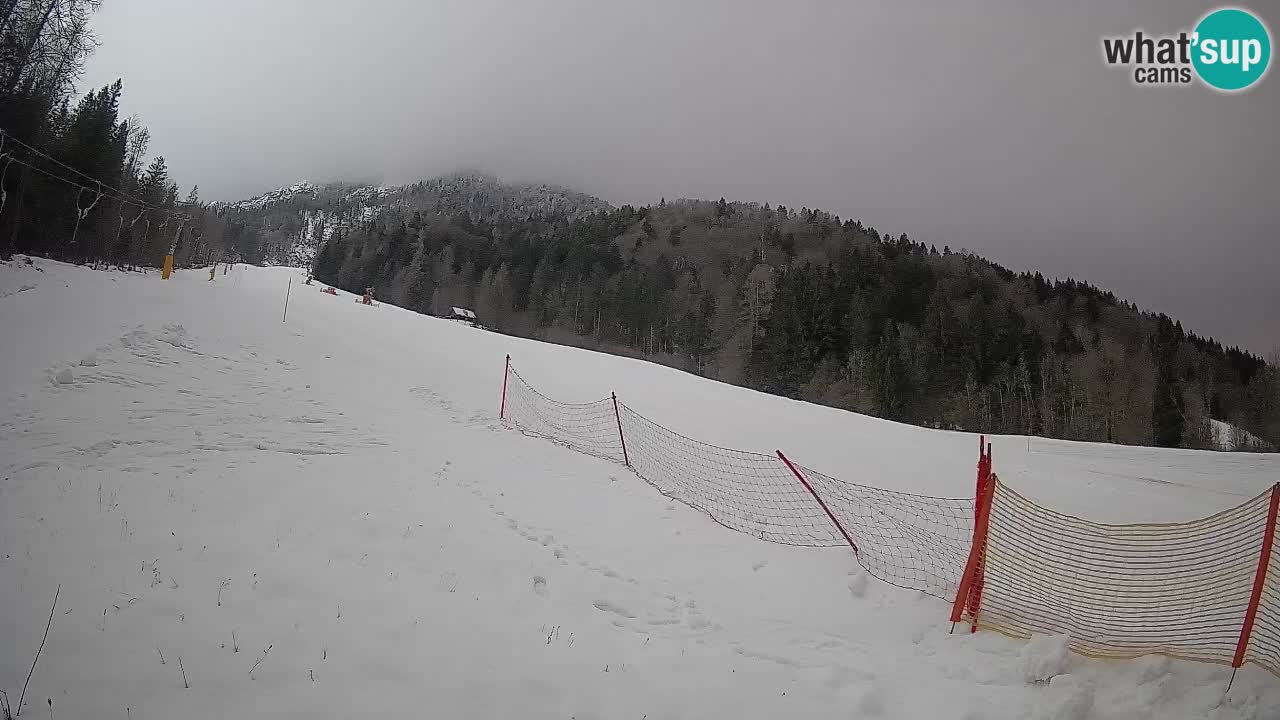 Kranjska Gora Station de ski | Brsnina