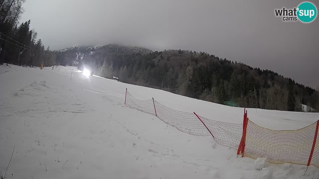RTC Kranjska Gora | Brsnina