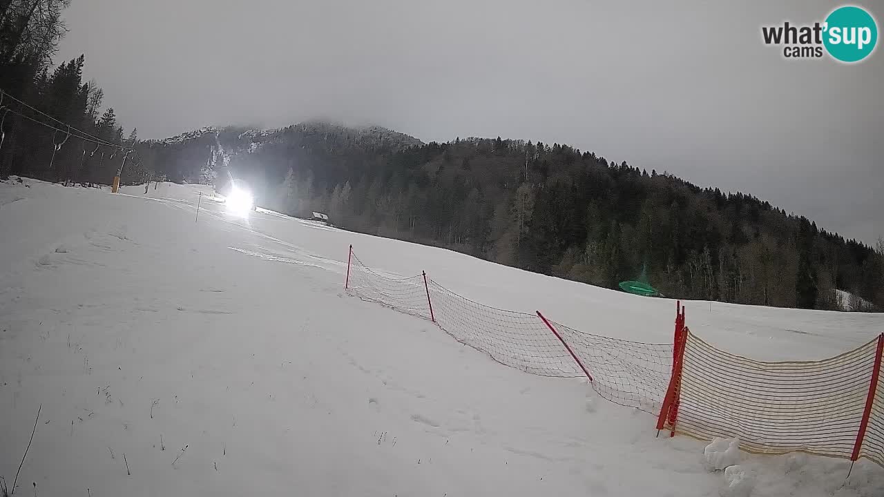 Esquí Kranjska Gora | Brsnina