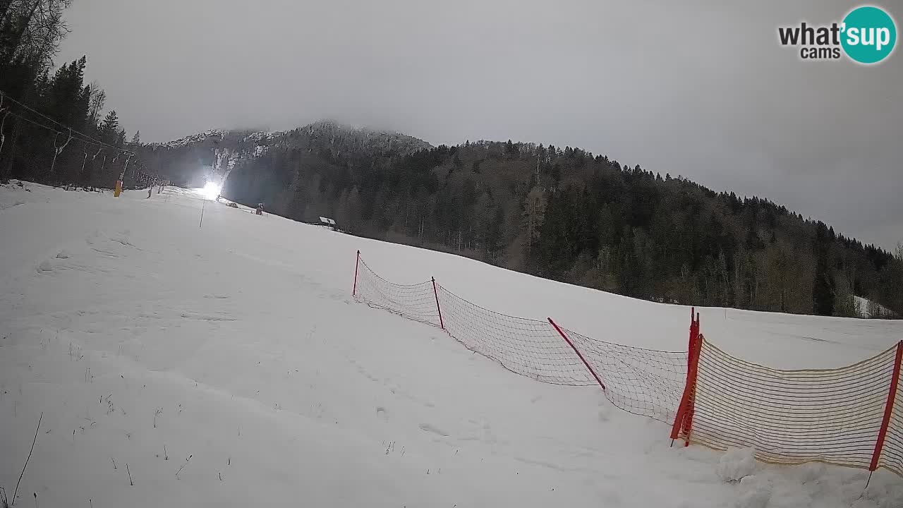 Comprensorio sciistico Kranjska Gora | Brsnina