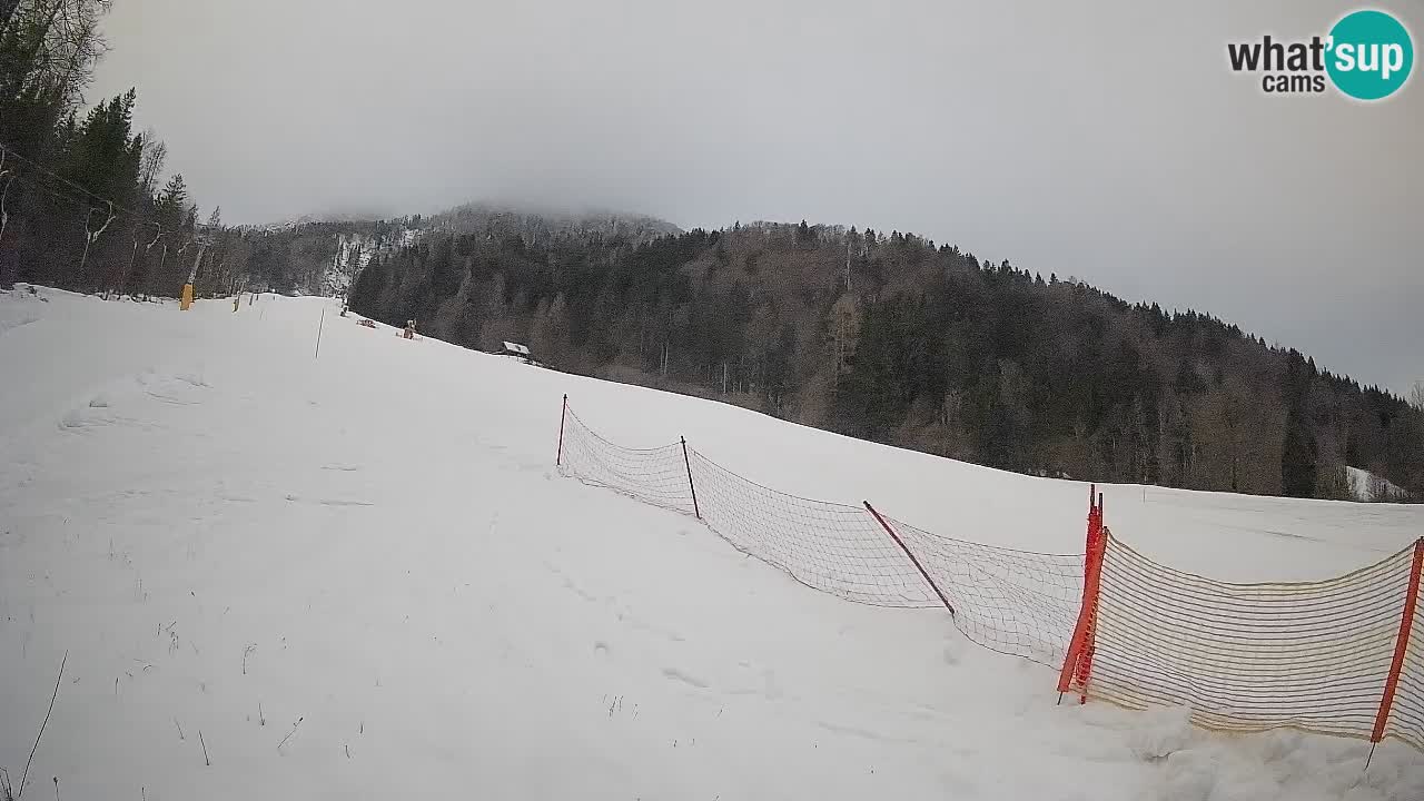 Comprensorio sciistico Kranjska Gora | Brsnina