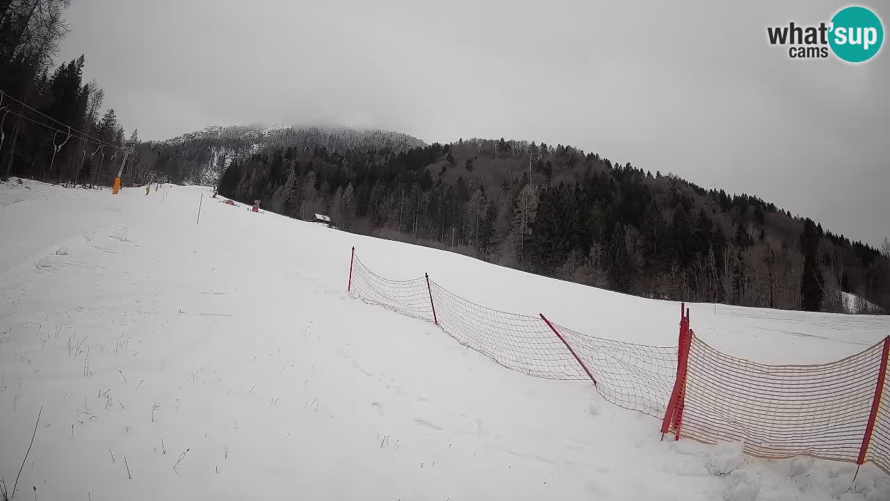 RTC Kranjska Gora | Brsnina