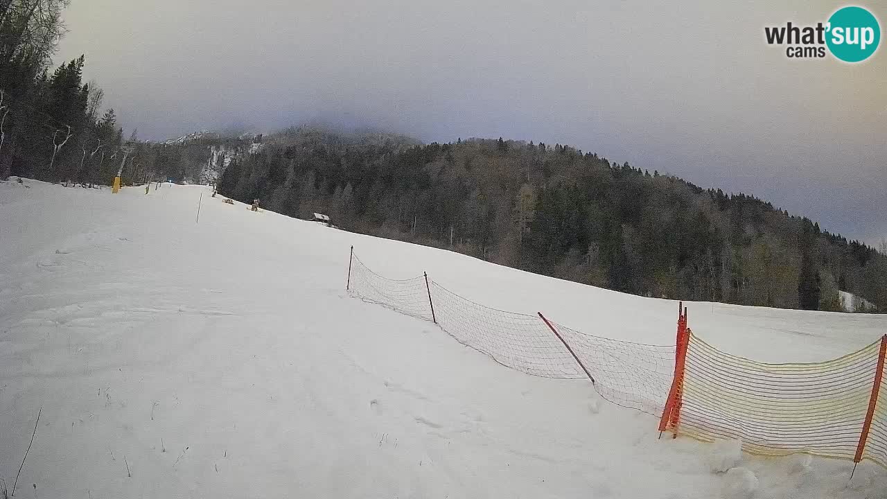 Kranjska Gora Station de ski | Brsnina