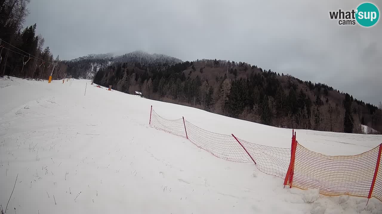 RTC Skigebiet Kranjska Gora | Brsnina