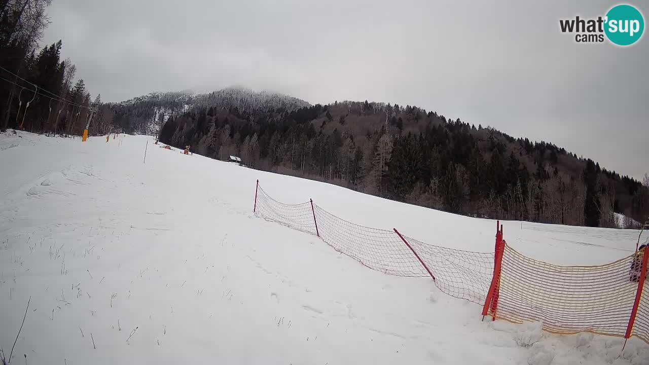 Comprensorio sciistico Kranjska Gora | Brsnina