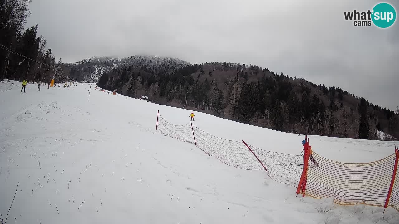Kranjska Gora SKIJANJE | Brsnina