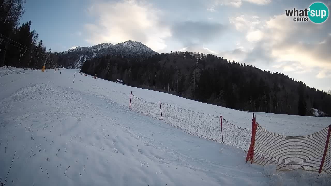 Ski Kranjska Gora | Brsnina