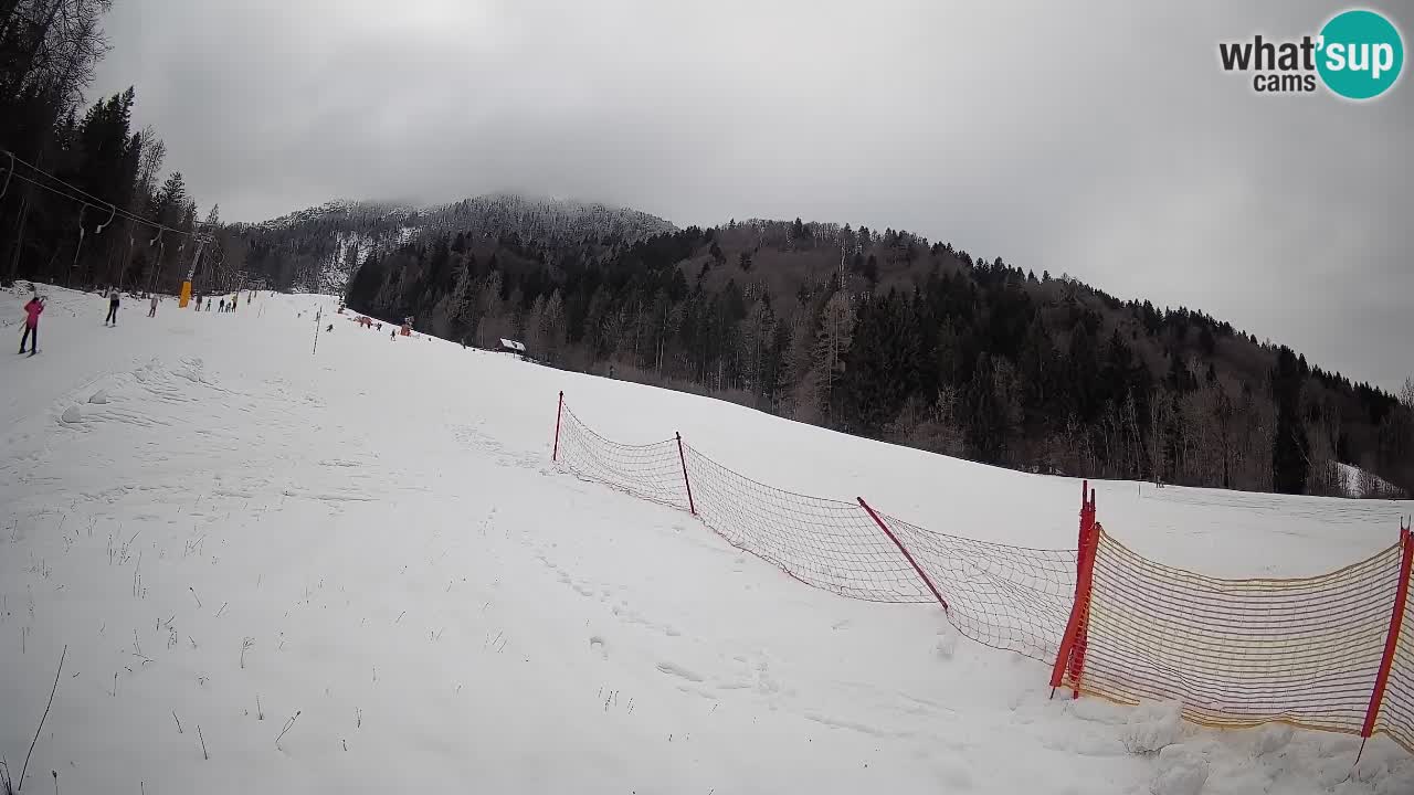 Ski Kranjska Gora | Brsnina