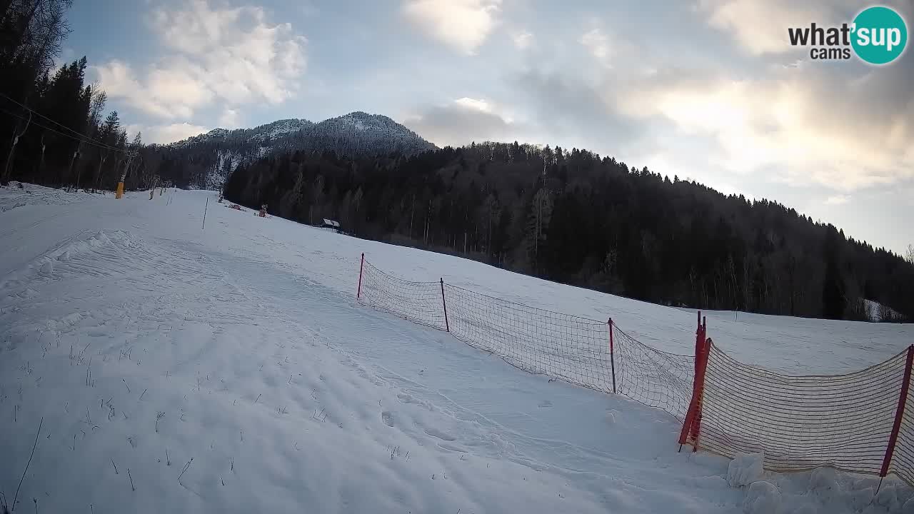Ski Kranjska Gora | Brsnina