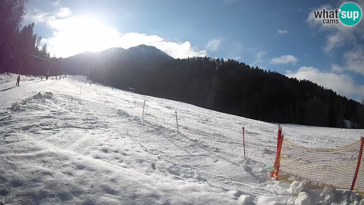 Kranjska Gora SKIJANJE | Brsnina