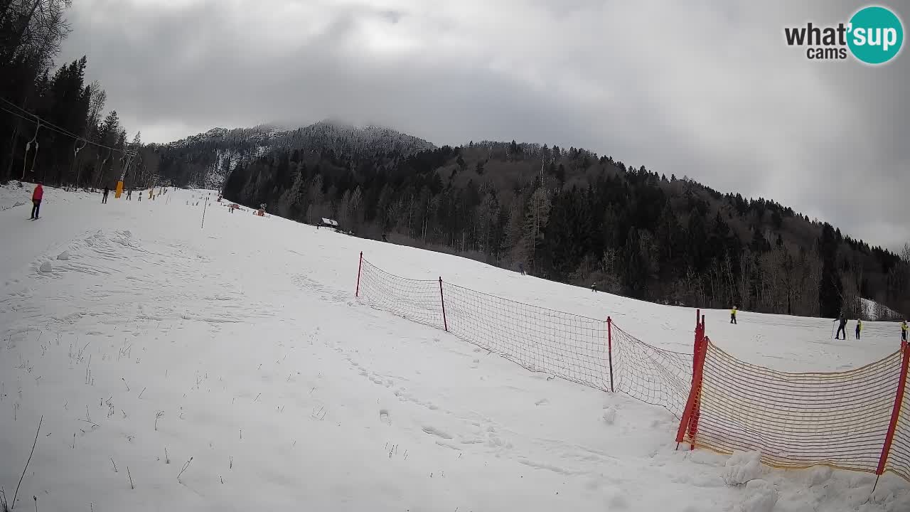 Kranjska Gora Station de ski | Brsnina