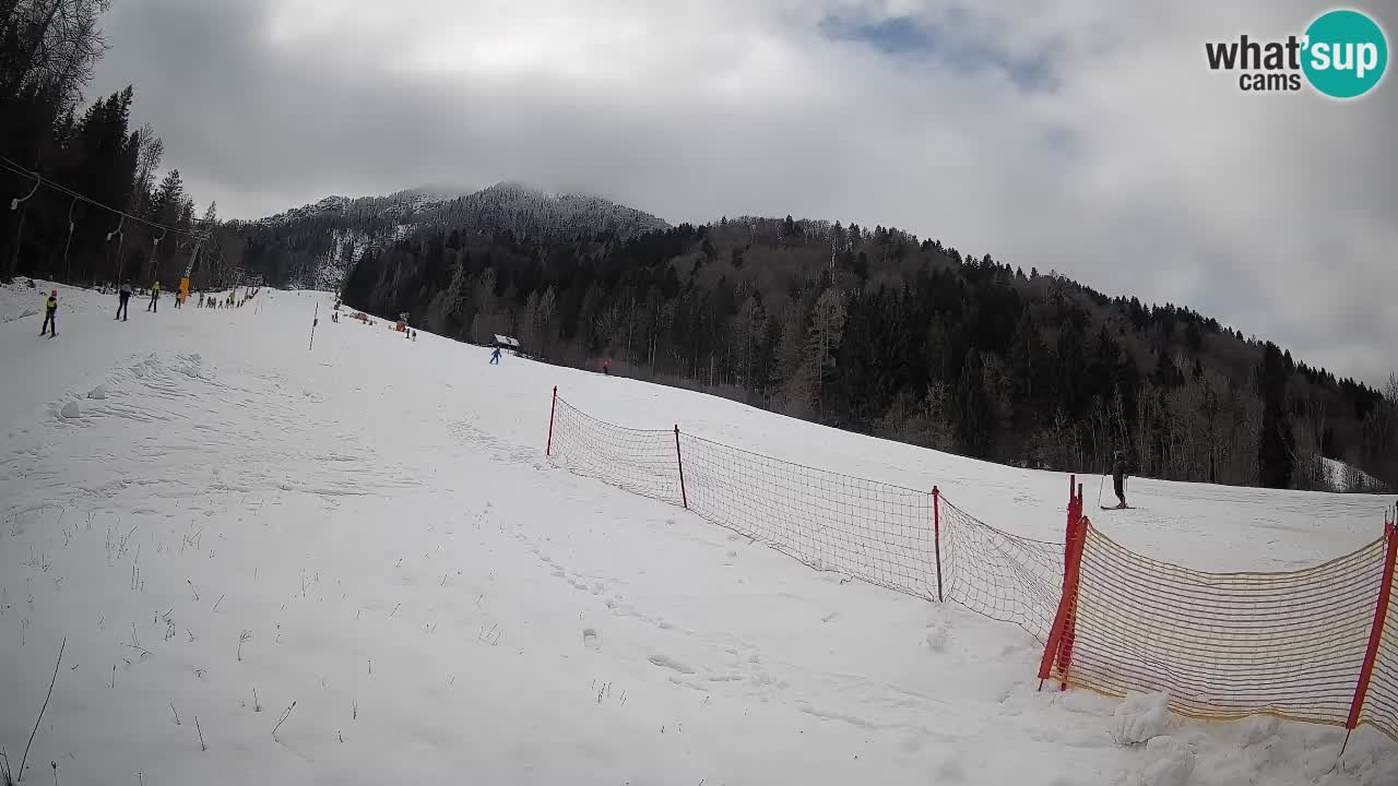 Esquí Kranjska Gora | Brsnina