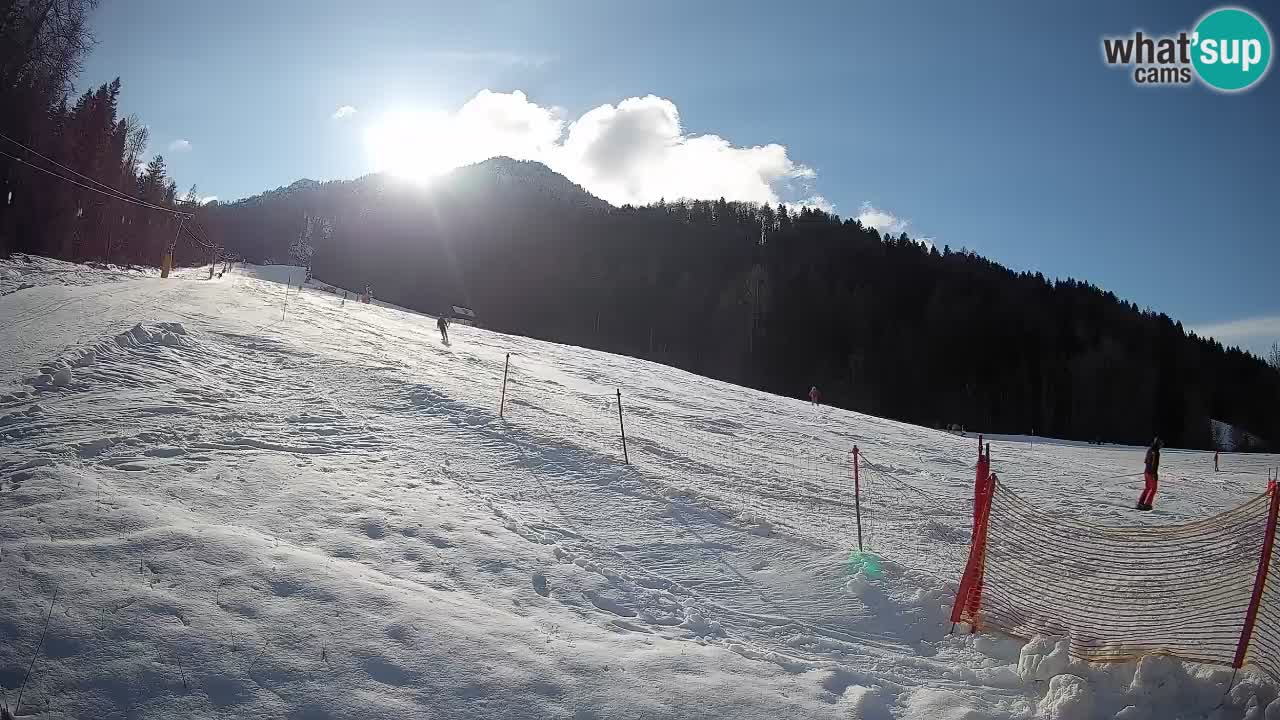 Comprensorio sciistico Kranjska Gora | Brsnina