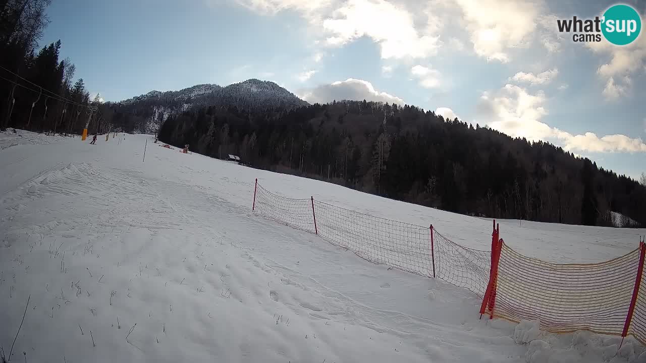 Kranjska Gora SKIJANJE | Brsnina