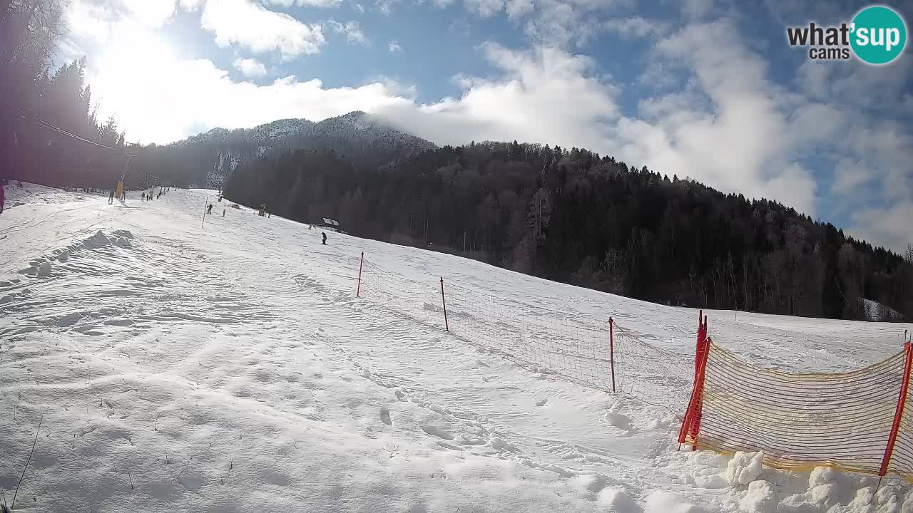 Kranjska Gora Station de ski | Brsnina