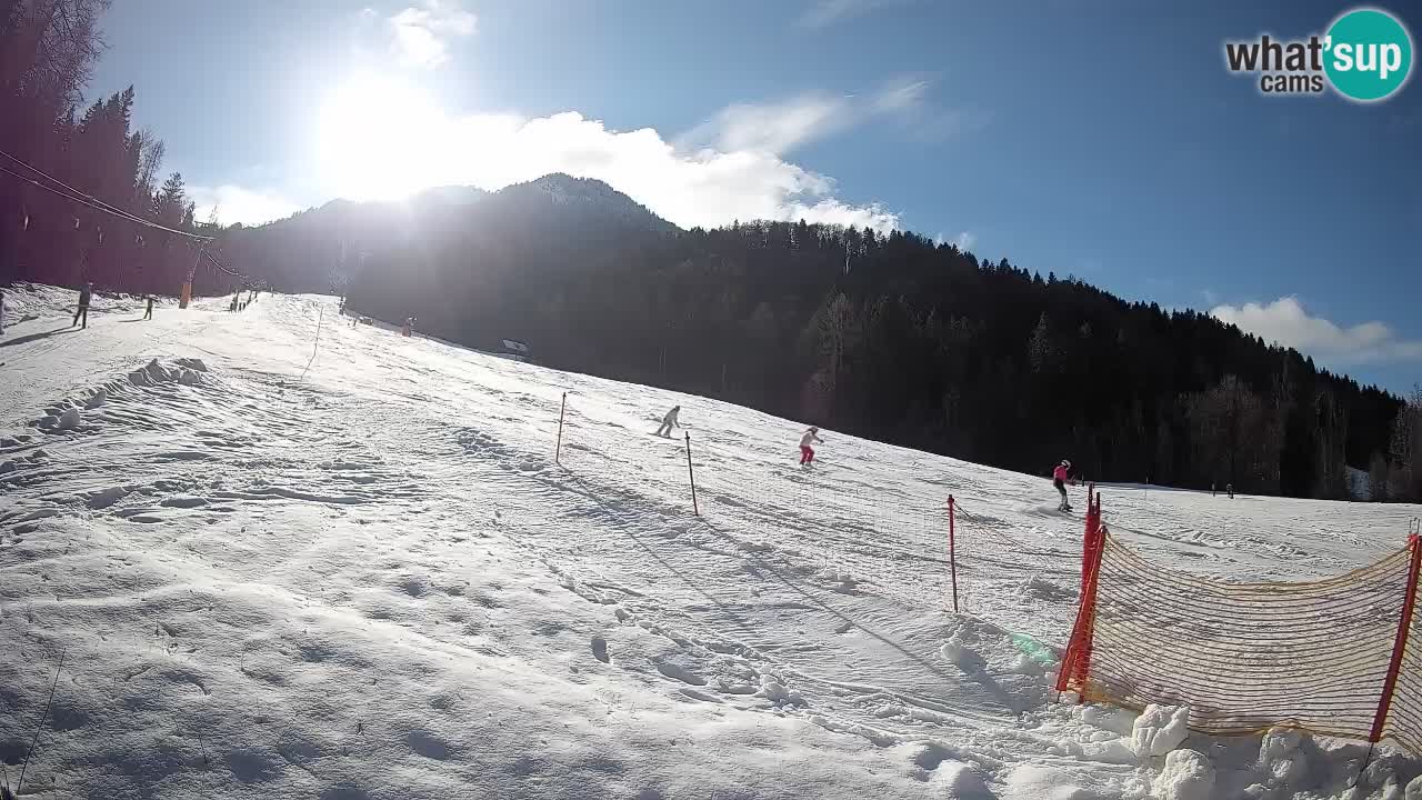 Ski Kranjska Gora | Brsnina
