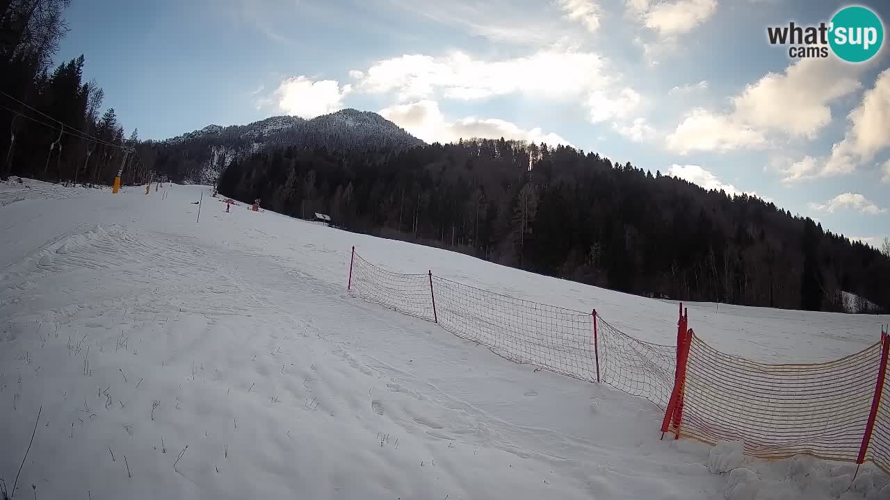 Comprensorio sciistico Kranjska Gora | Brsnina