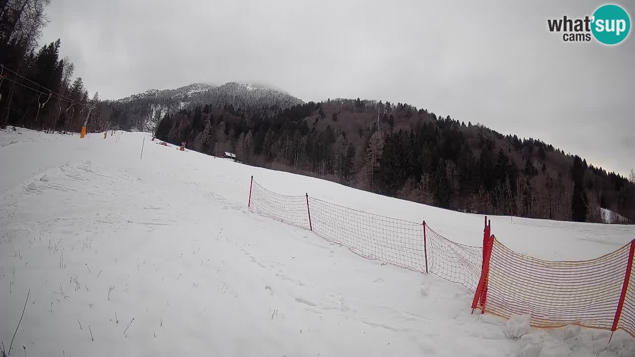 Kranjska Gora SKIJANJE | Brsnina