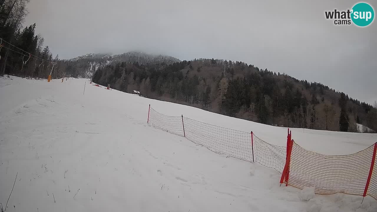 RTC Skigebiet Kranjska Gora | Brsnina