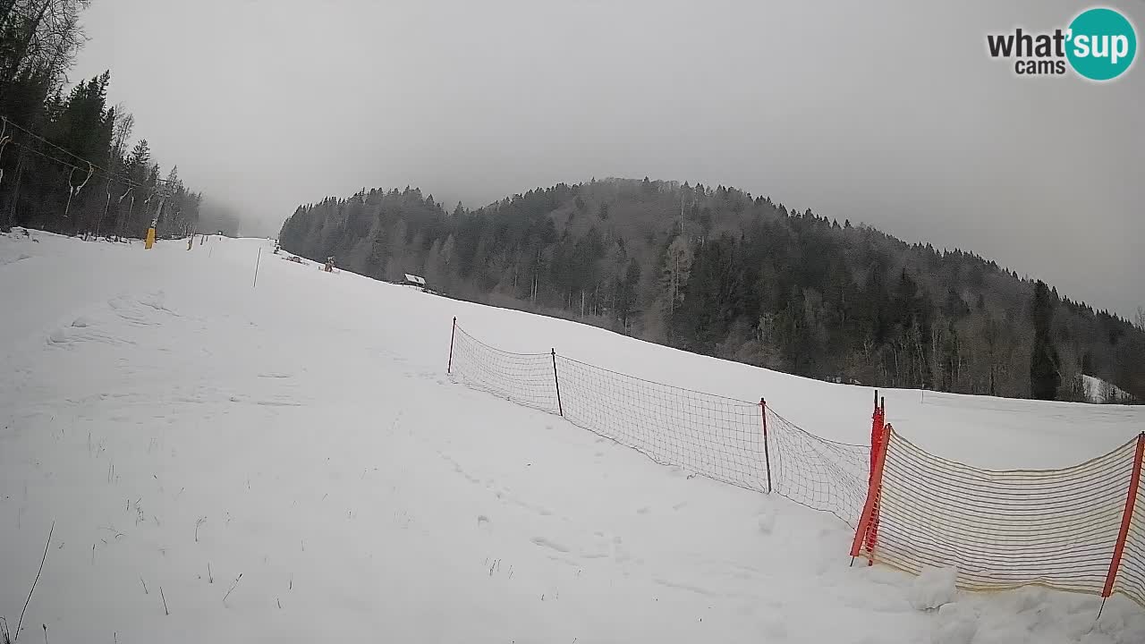 Esquí Kranjska Gora | Brsnina