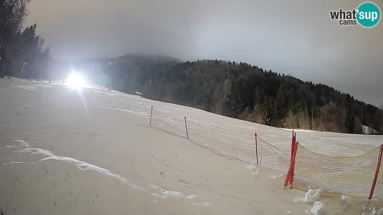 Ski Kranjska Gora | Brsnina
