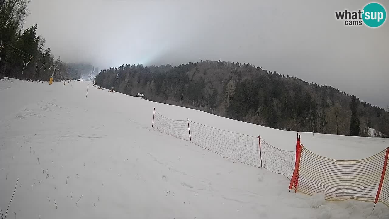 Comprensorio sciistico Kranjska Gora | Brsnina