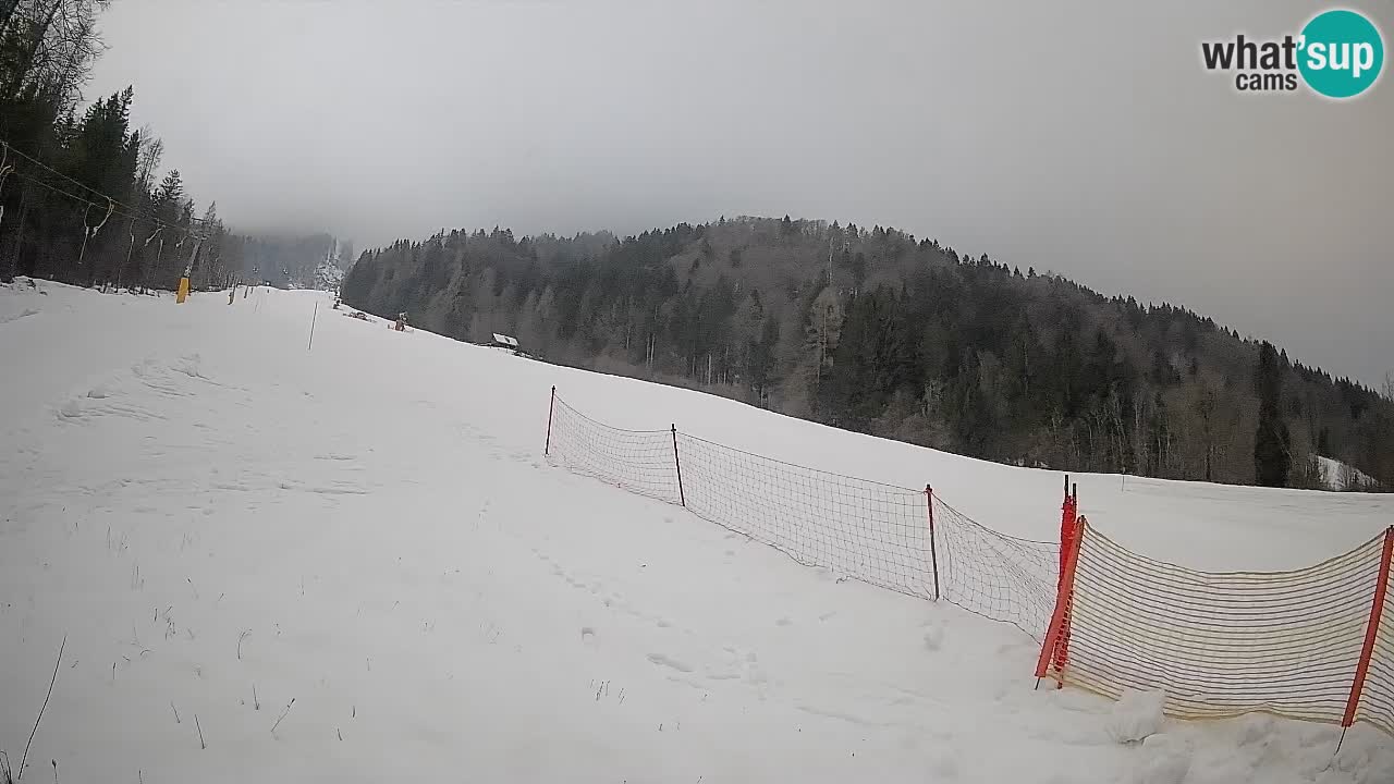 RTC Kranjska Gora | Brsnina