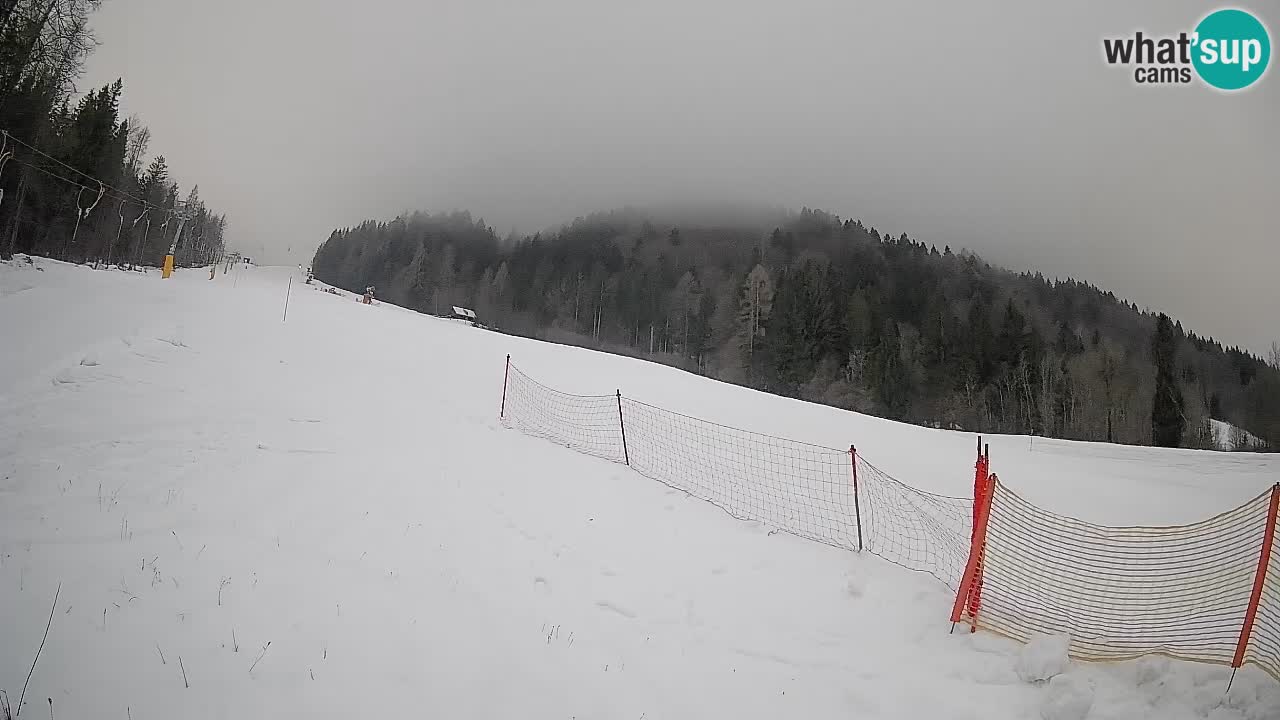 RTC Skigebiet Kranjska Gora | Brsnina