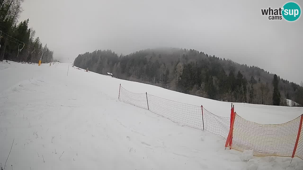 Ski Kranjska Gora | Brsnina
