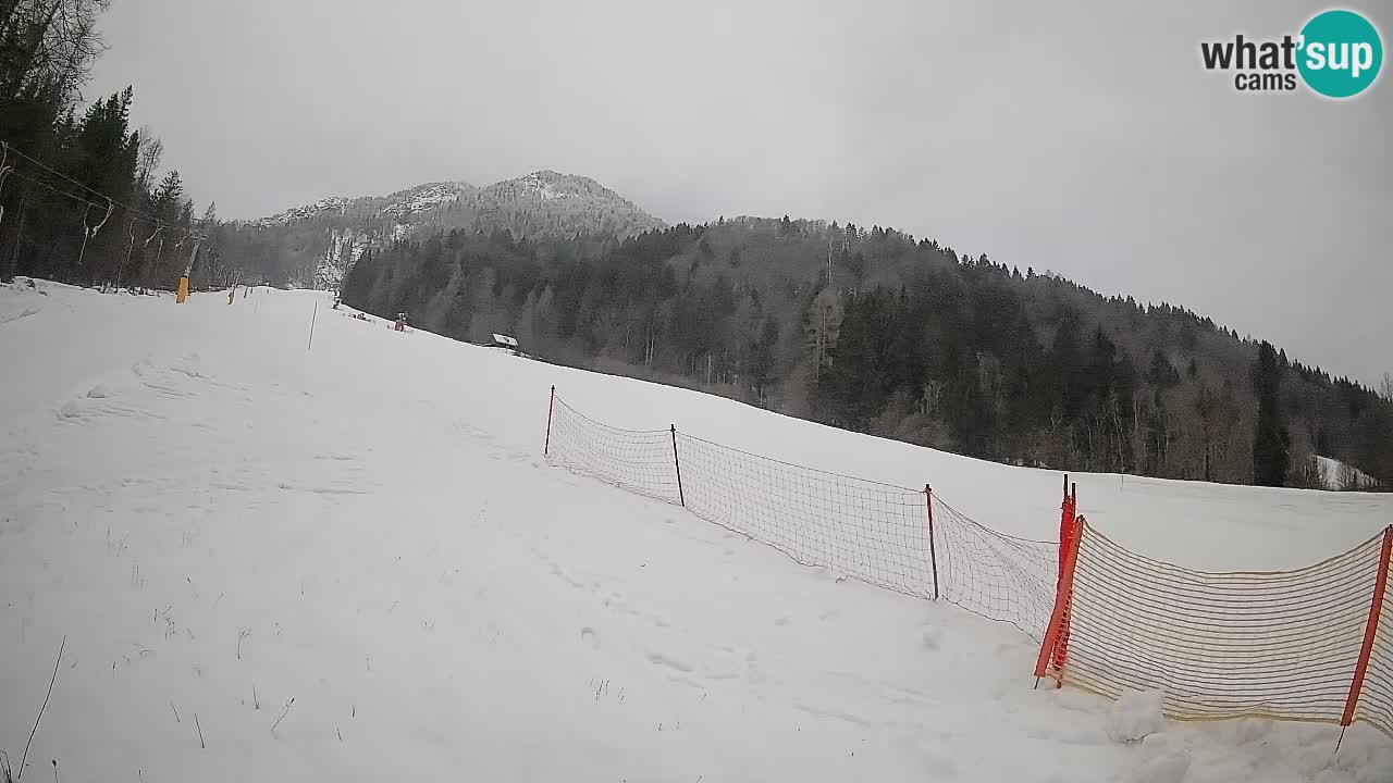 RTC Kranjska Gora | Brsnina