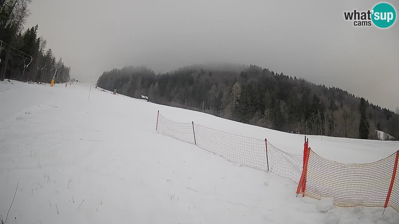 Ski Kranjska Gora | Brsnina