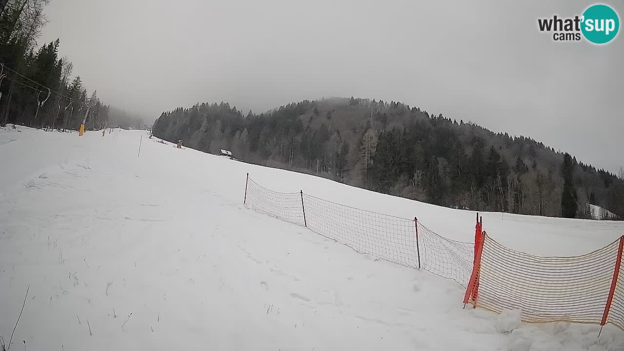 Ski Kranjska Gora | Brsnina