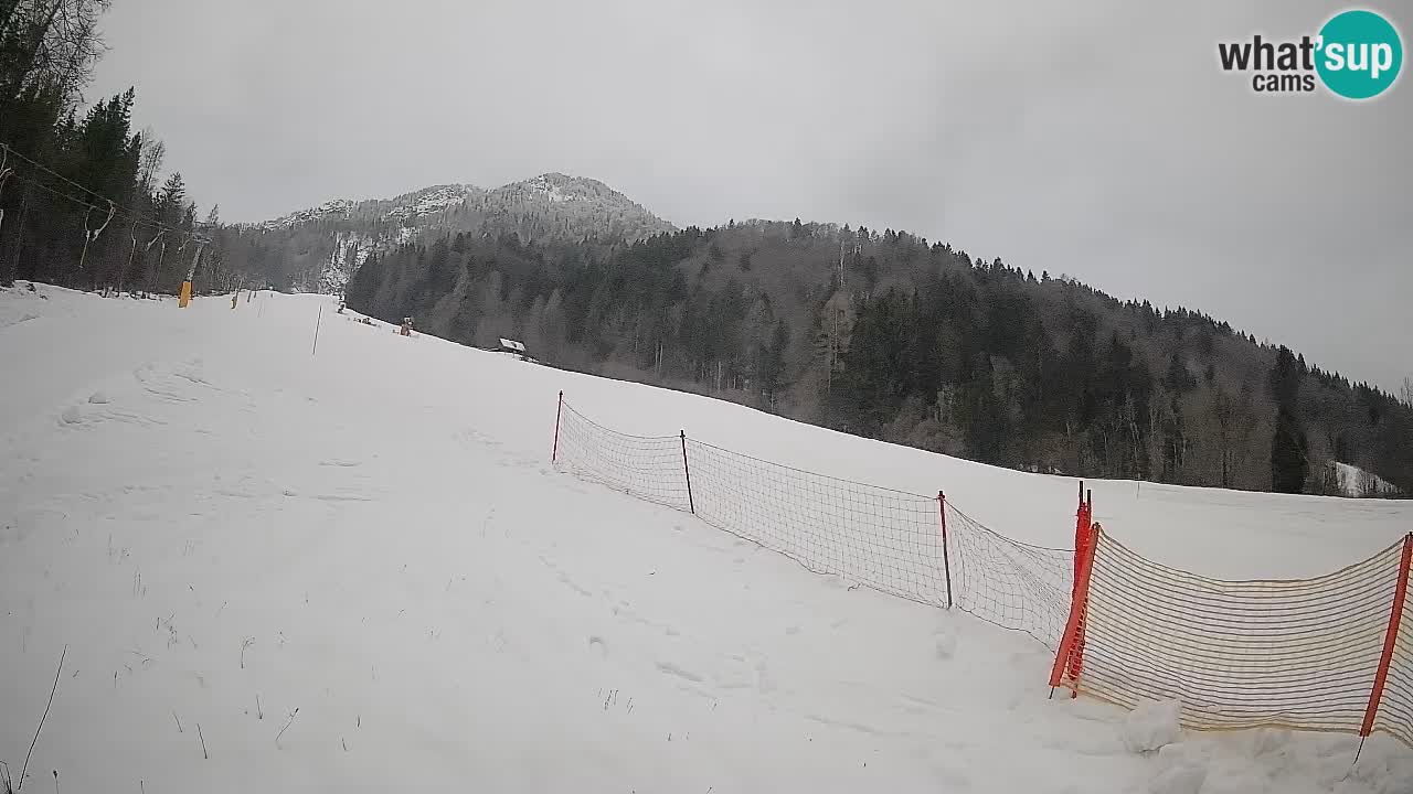 RTC Skigebiet Kranjska Gora | Brsnina