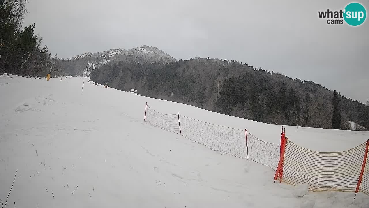 Ski Kranjska Gora | Brsnina