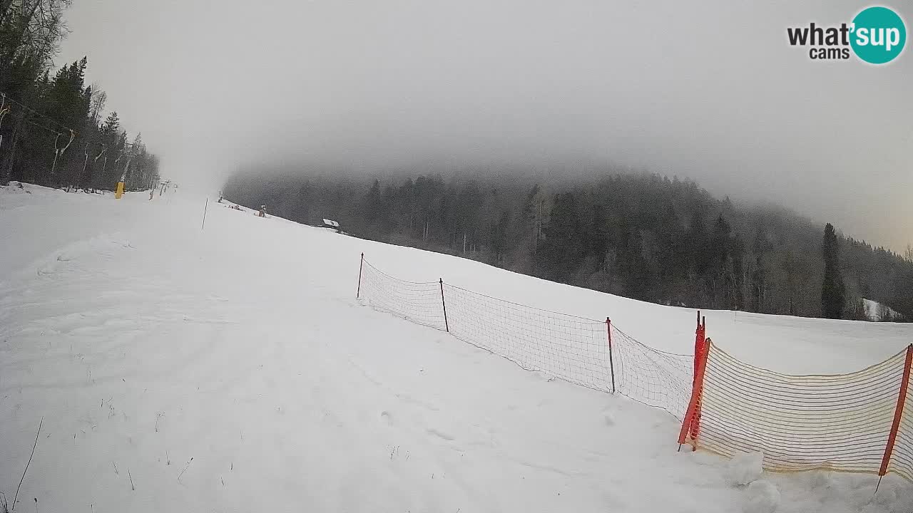 Ski Kranjska Gora | Brsnina