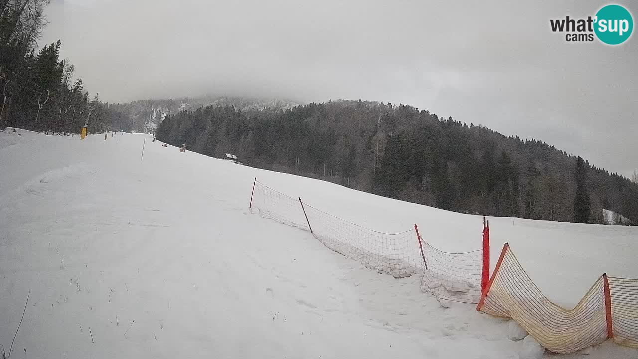 Esquí Kranjska Gora | Brsnina