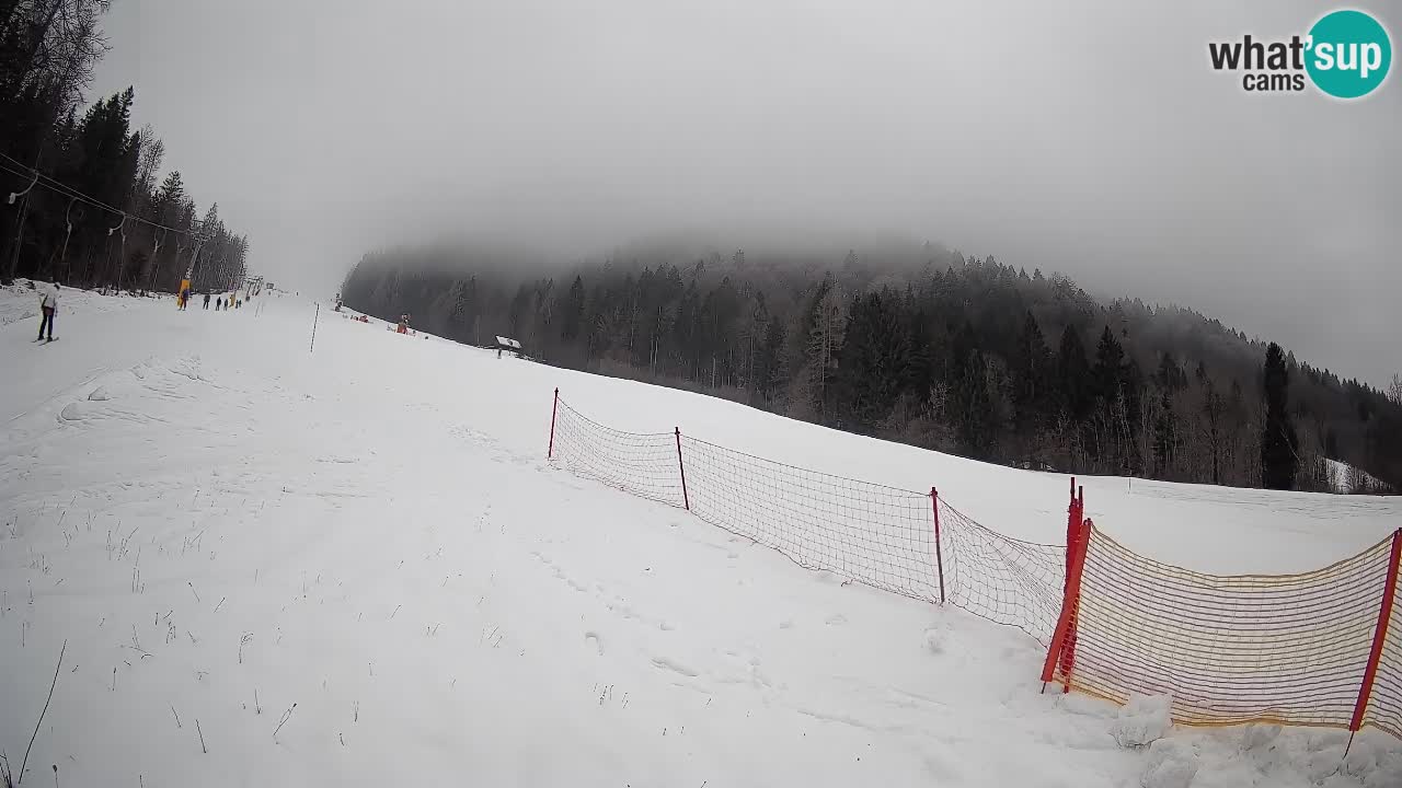 Esquí Kranjska Gora | Brsnina