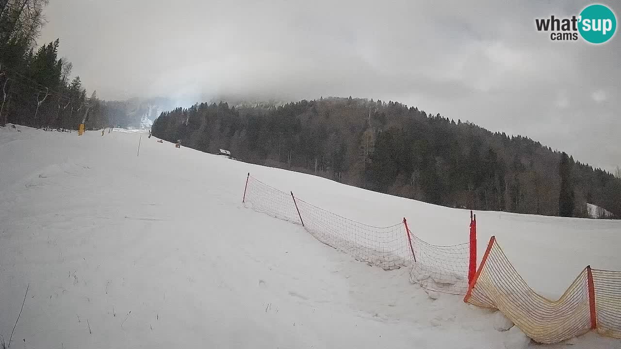 Comprensorio sciistico Kranjska Gora | Brsnina