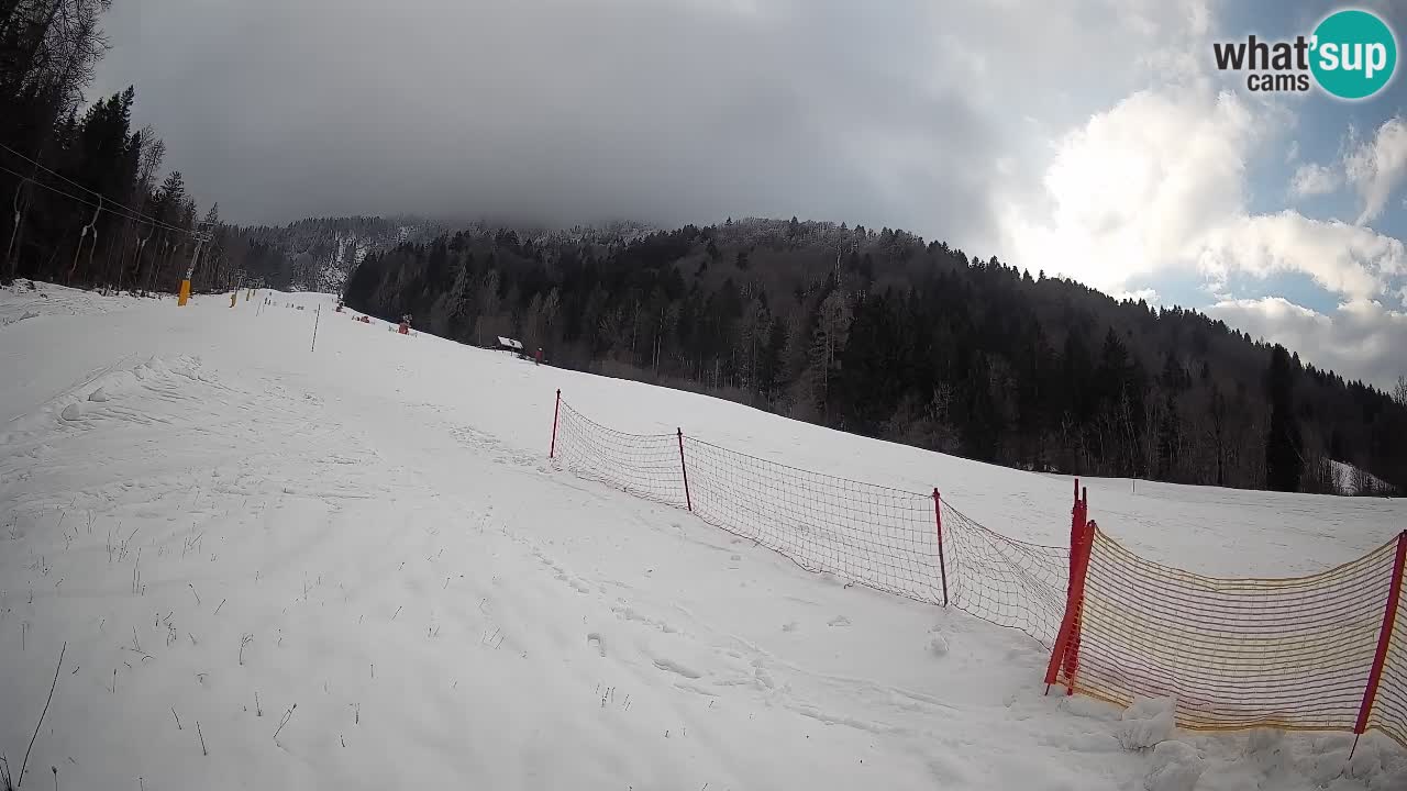 RTC Skigebiet Kranjska Gora | Brsnina