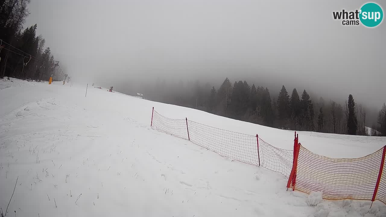 Esquí Kranjska Gora | Brsnina
