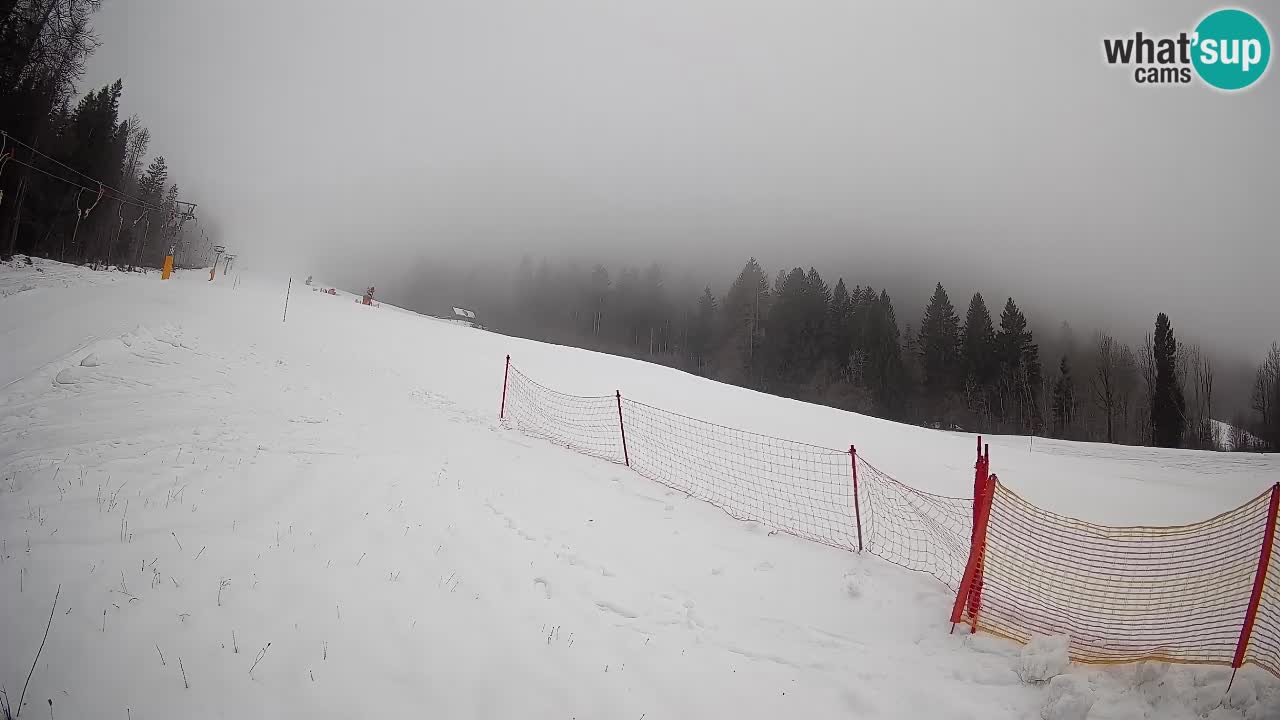 Kranjska Gora SKIJANJE | Brsnina