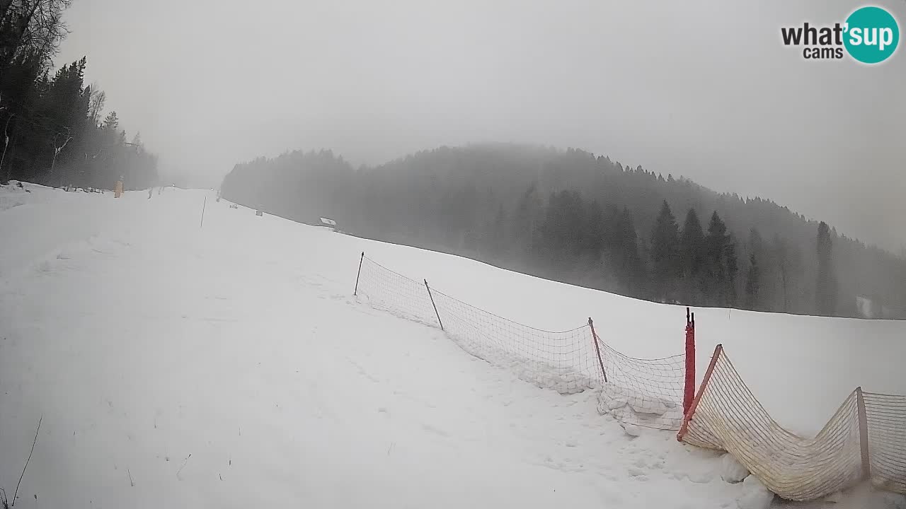 Kranjska Gora Station de ski | Brsnina