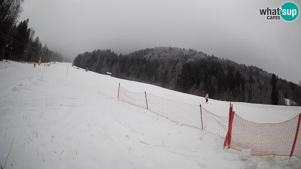 Comprensorio sciistico Kranjska Gora | Brsnina