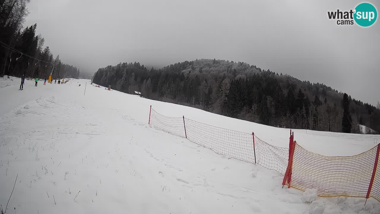 Esquí Kranjska Gora | Brsnina